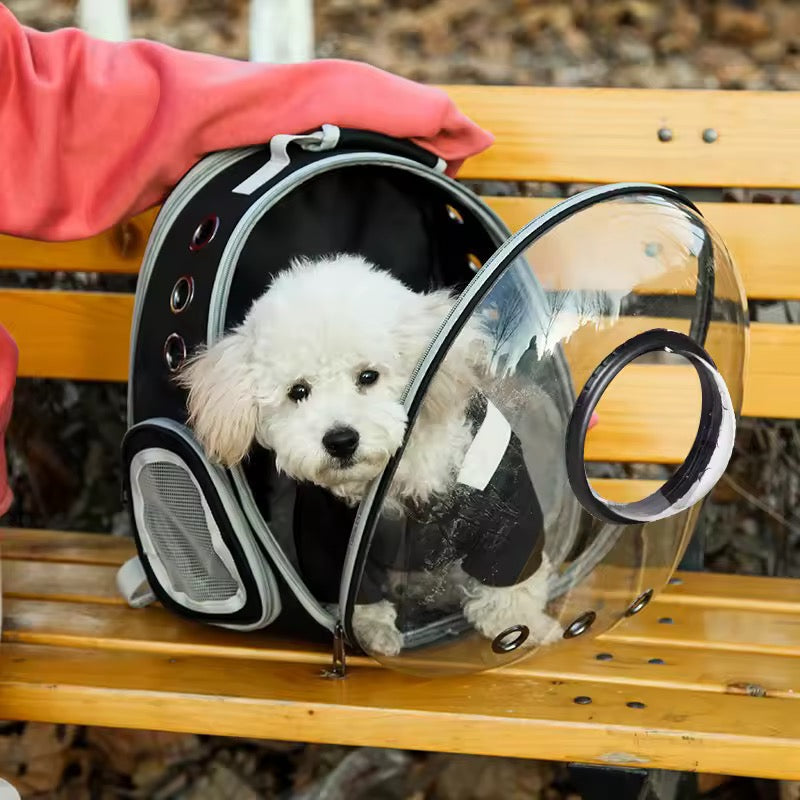 Transparent Backpack for Cats & Small Dogs